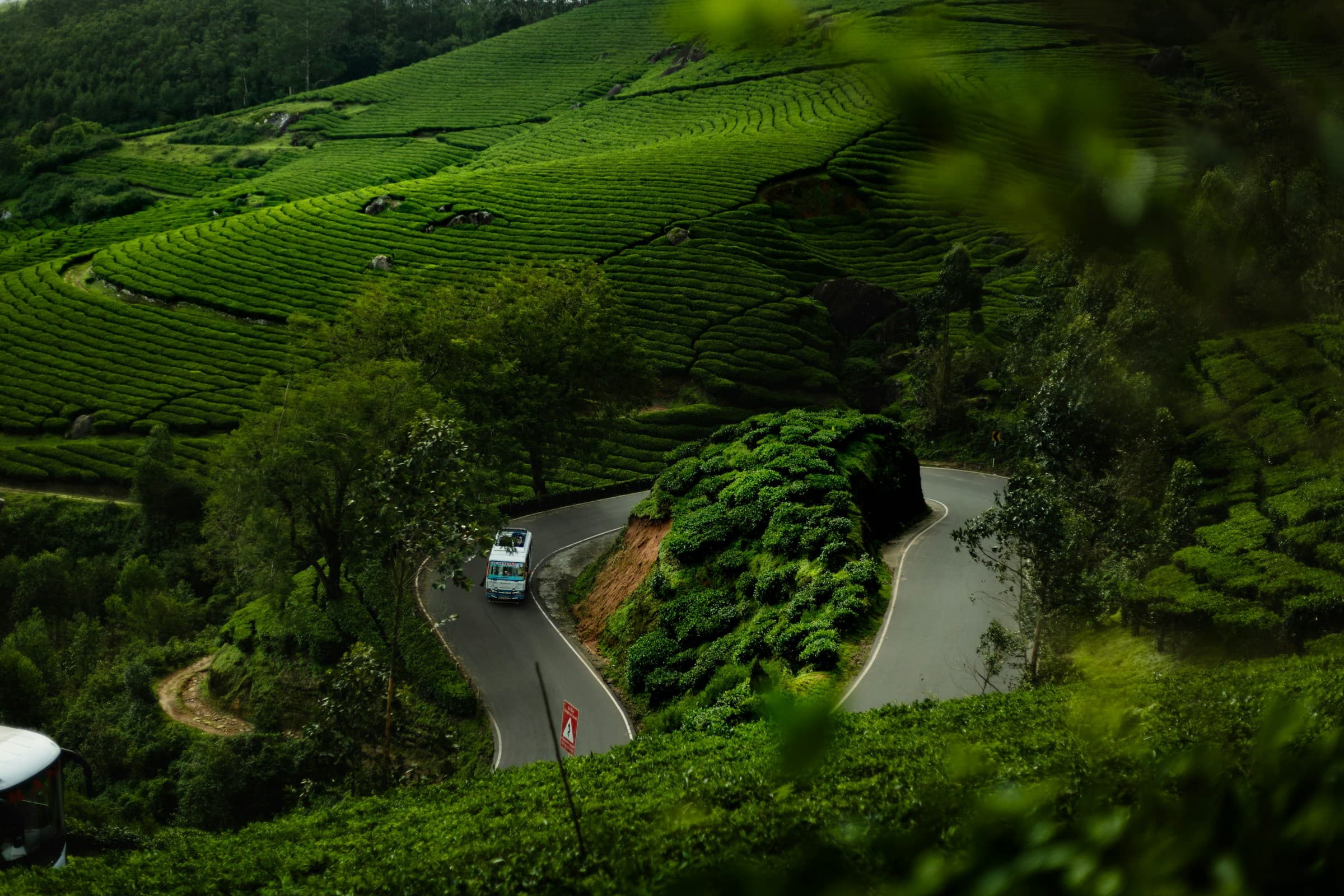 Wayanad